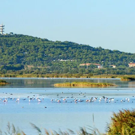아파트 T2 - Les Pieds Dans Le Sables En Toutes Saisons 5 Couchages - Climatisation - Parking Privee - Piscine - Situation Optimum Et Rare - Amoureva - Richelieu- Cap D'agde *